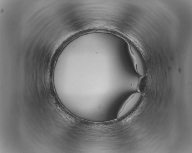 X0000088580880200706081120