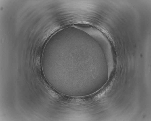 X0000088580881200706081120