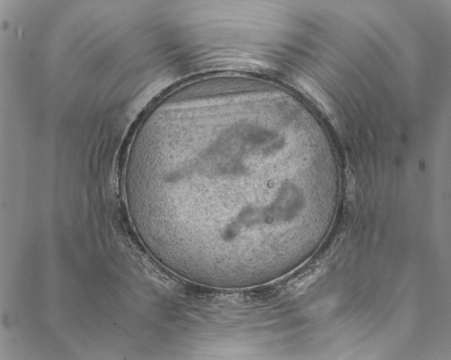 X0000088580883200706081120