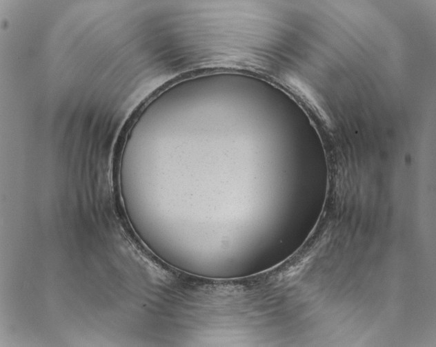 X0000088580884200706081120