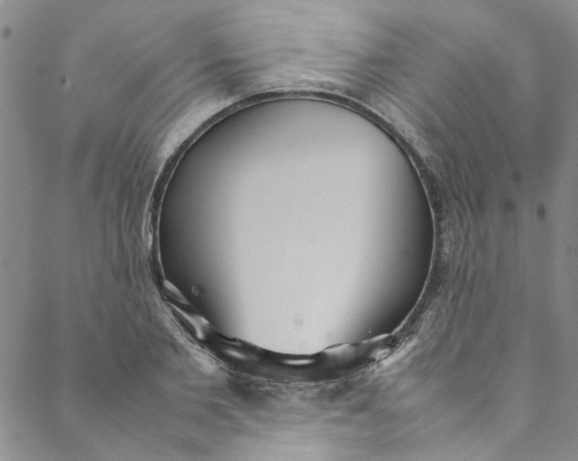 X0000088580885200706081120