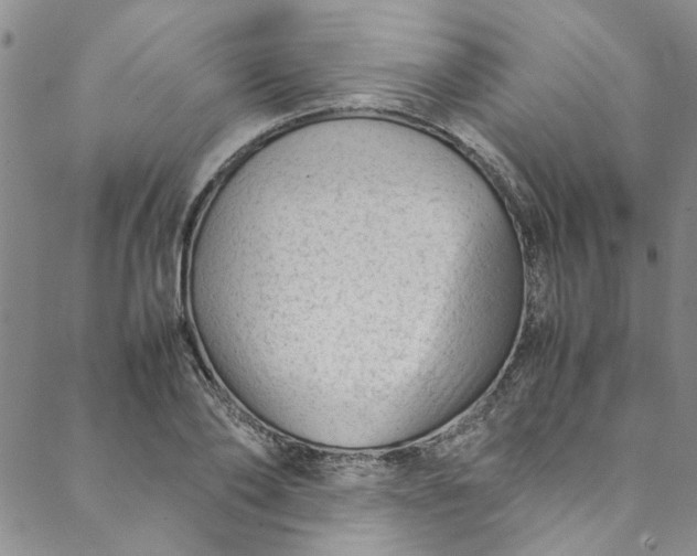 X0000088580886200706081120