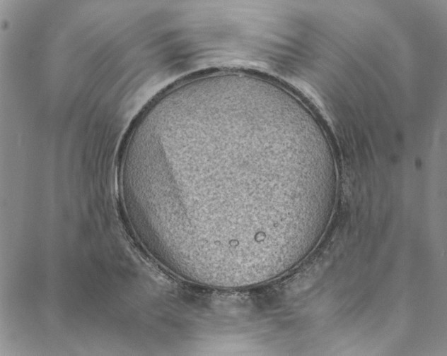 X0000088580887200706081120