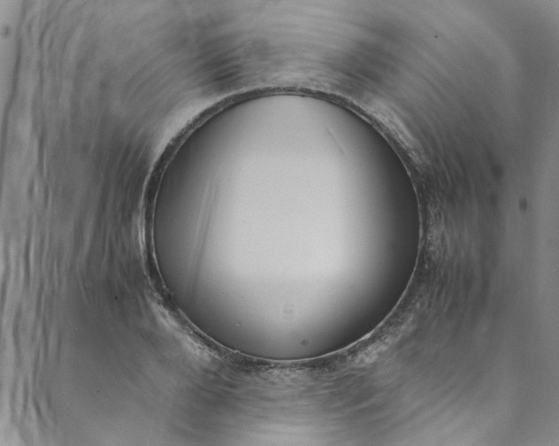 X0000088580888200706081120