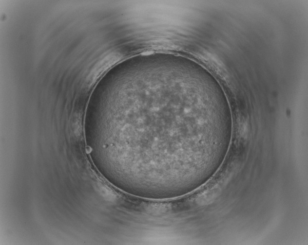 X0000088580889200706081120