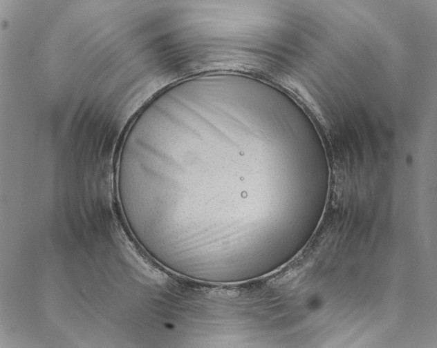 X0000088580890200706081120