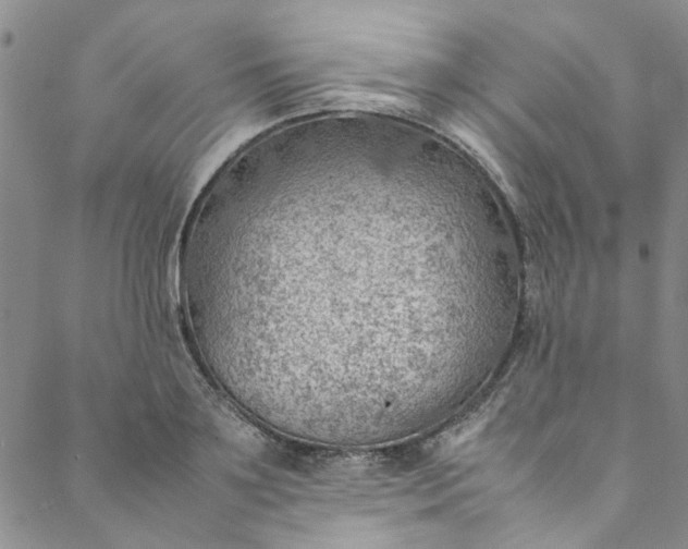 X0000088580891200706081120