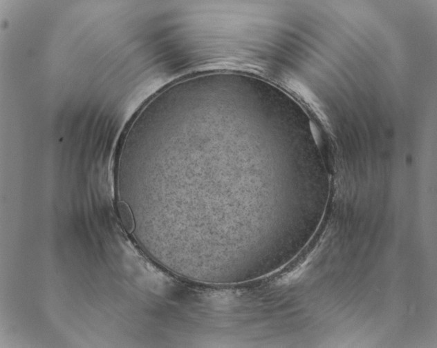 X0000088580892200706081120