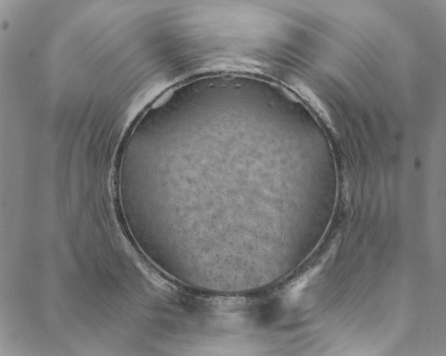 X0000088580893200706081120