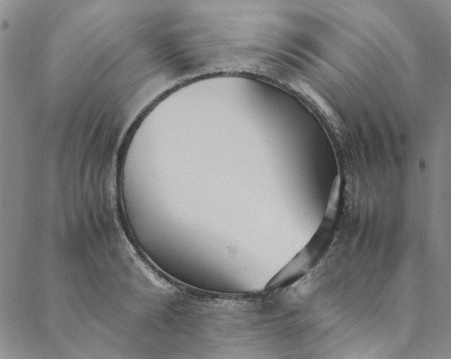 X0000088580894200706081120