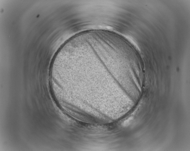 X0000088580895200706081120