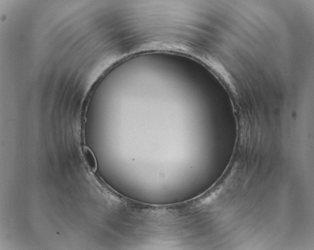 X0000088580896200706081120