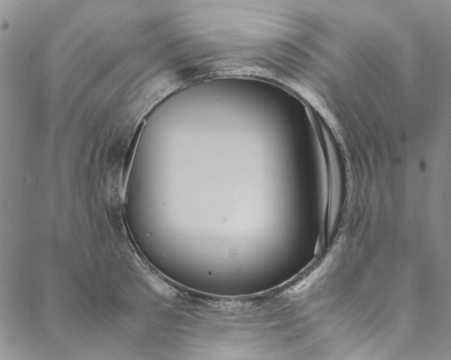 X0000088580897200706081120