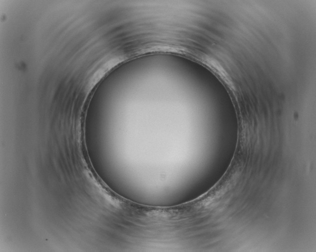 X0000088580898200706081120