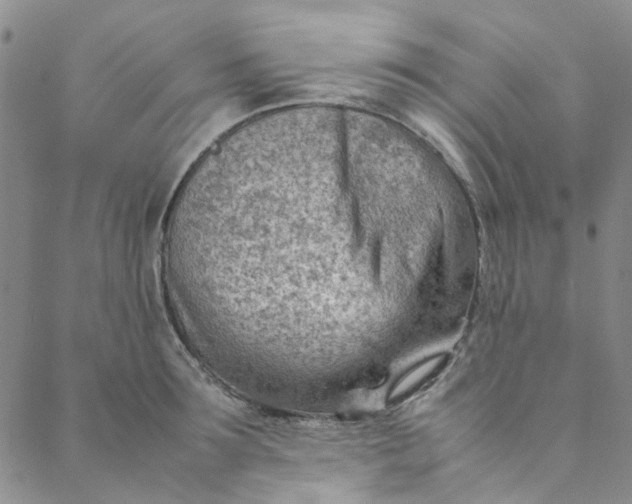 X0000088580899200706081120