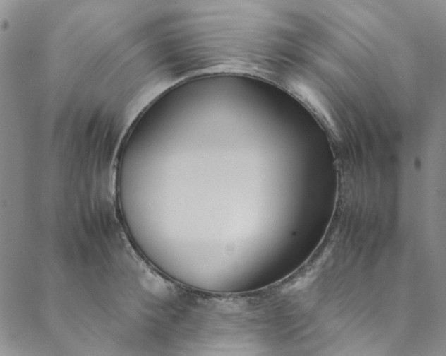 X0000088580900200706081120