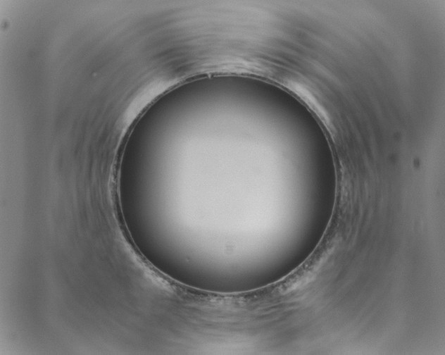 X0000088580901200706081120