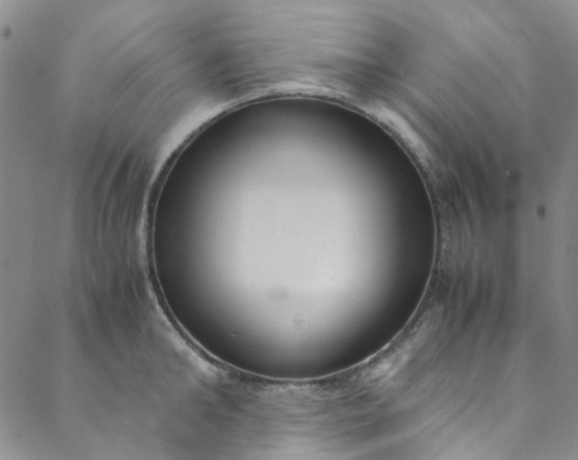 X0000088580902200706081120