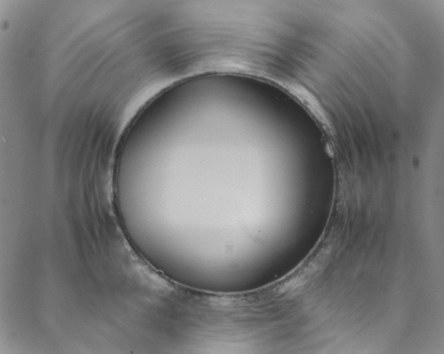 X0000088580904200706081120