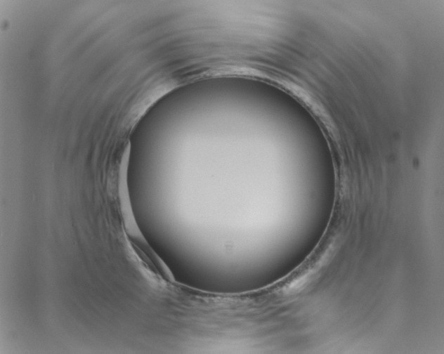 X0000088580905200706081120