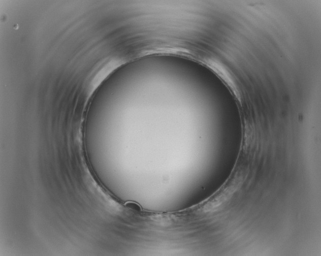 X0000088580906200706081120