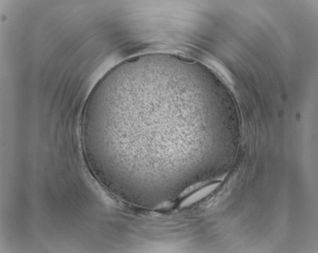 X0000088580907200706081119