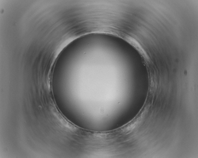 X0000088580908200706081119