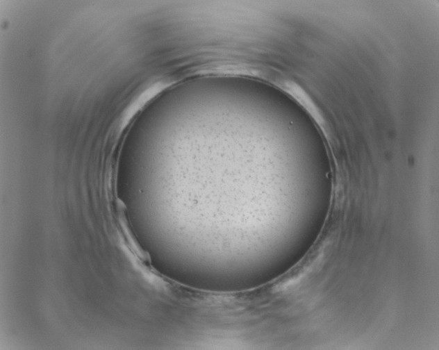 X0000088580909200706081119