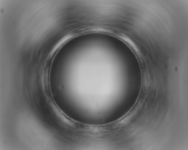 X0000088580910200706081119