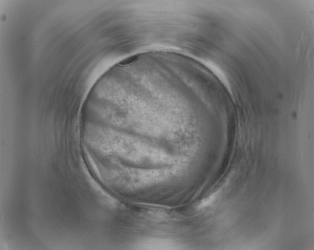 X0000088580911200706081119