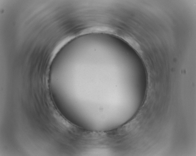 X0000088580912200706081119