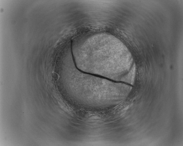 X0000088580913200706081119