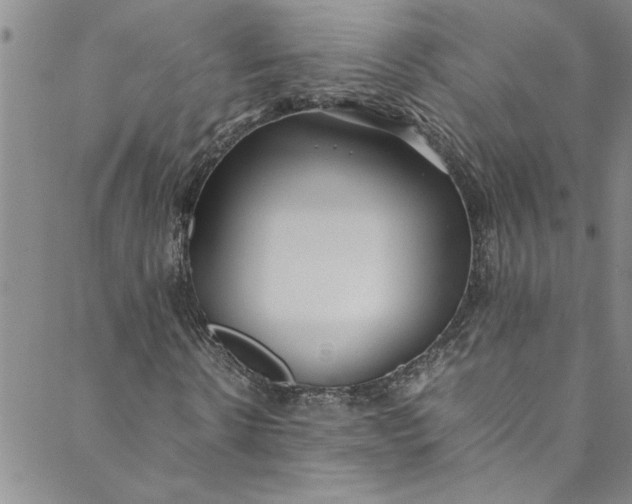 X0000088580914200706081119