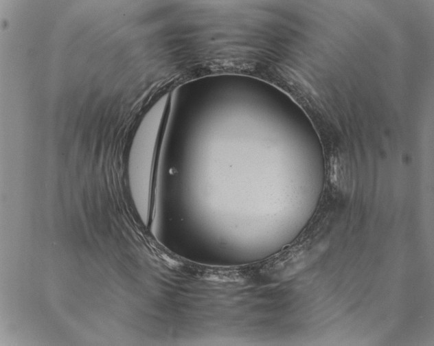 X0000088580915200706081119