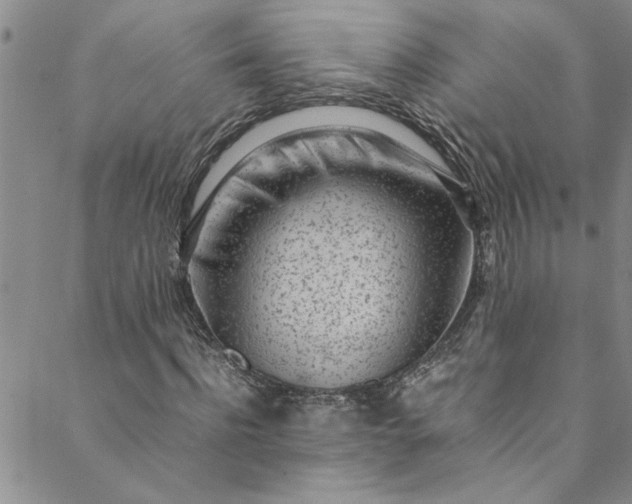 X0000088580916200706081119