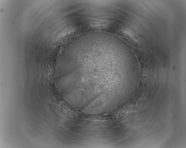 X0000088580917200706081119