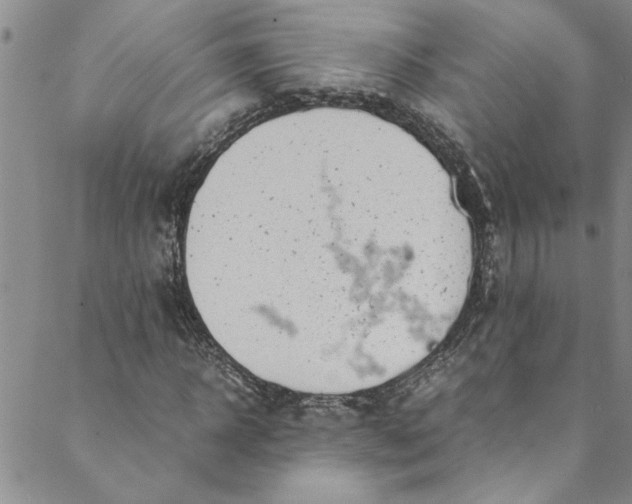 X0000088580918200706081119