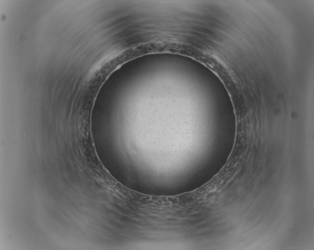 X0000088580919200706081119