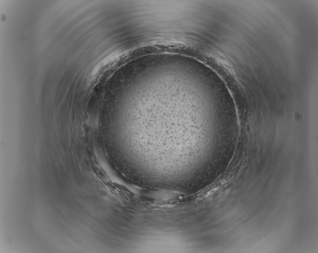 X0000088580920200706081119