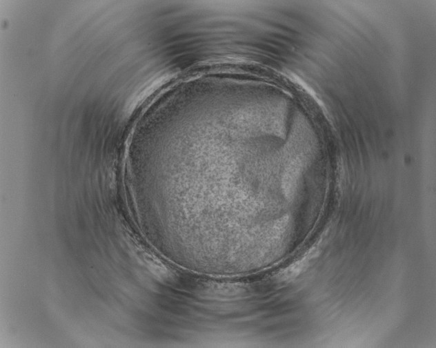 X0000088580921200706081119