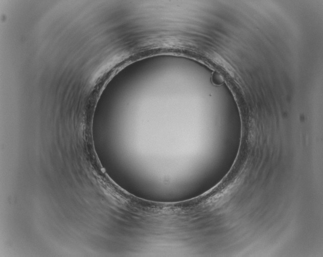 X0000088580922200706081119