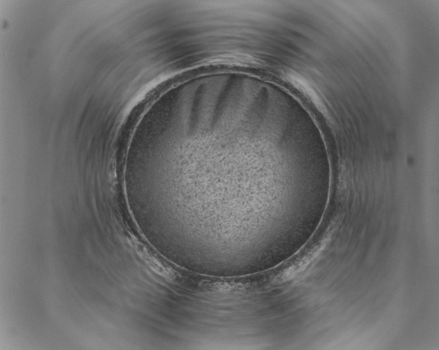 X0000088580923200706081119