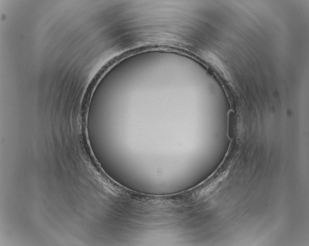 X0000088580924200706081119