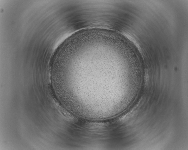 X0000088580925200706081119