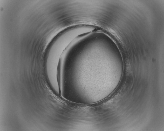 X0000088580926200706081119