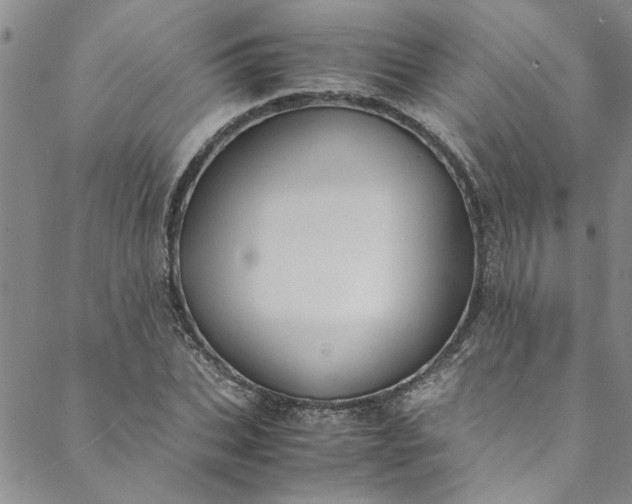 X0000088580927200706081119