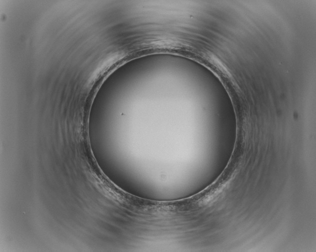 X0000088580930200706081119