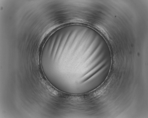 X0000088580931200706081119