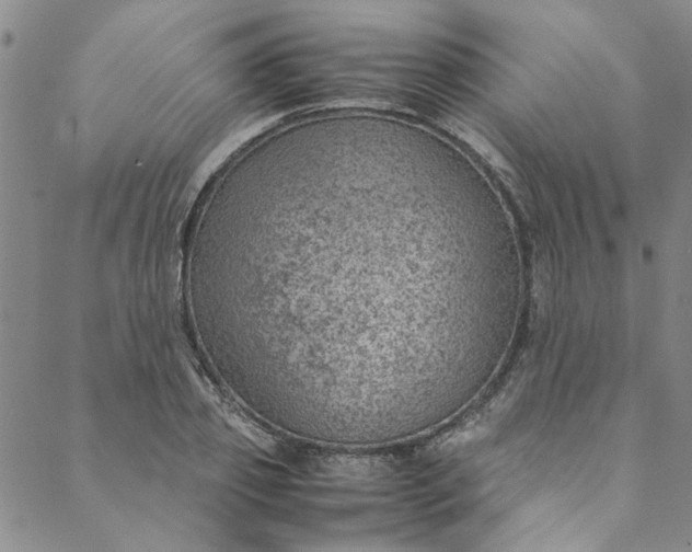 X0000088580933200706081119