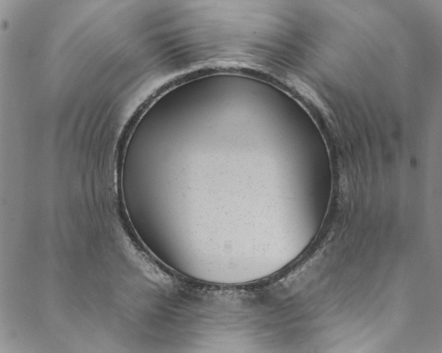 X0000088580934200706081119